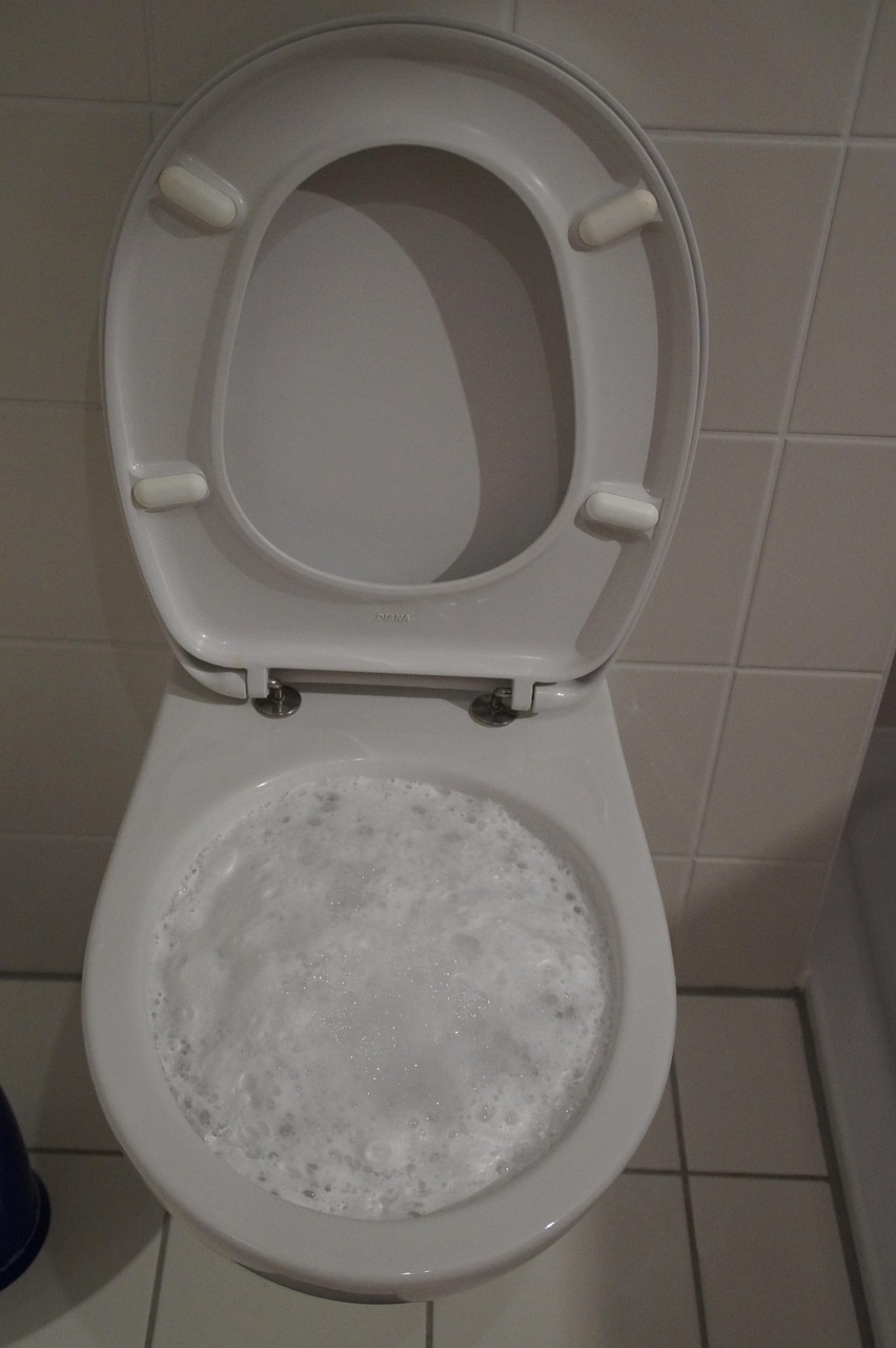 about-01 toilet, loo, wc, clean, foam, plumbing